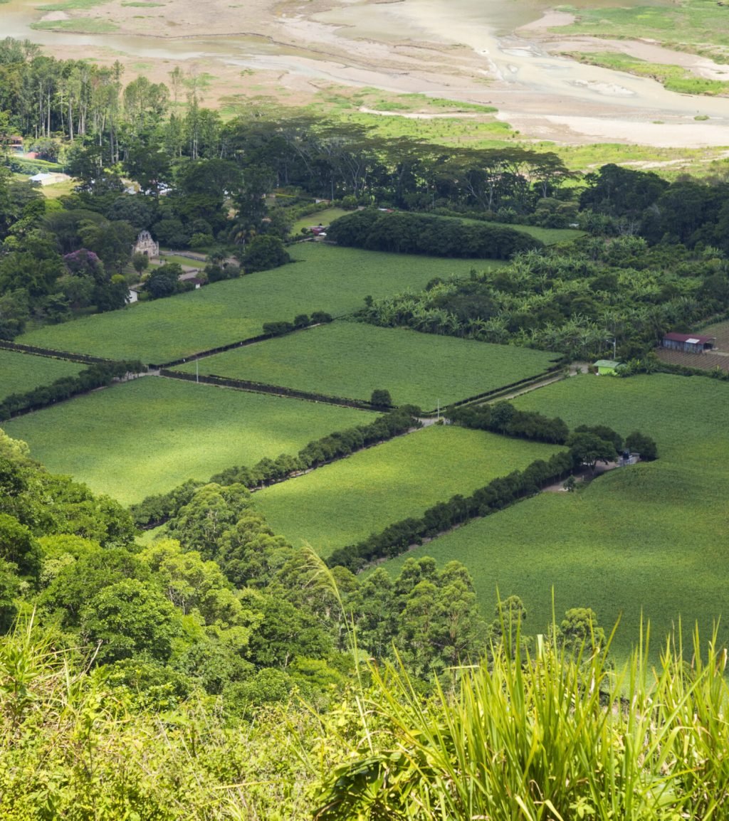 beautiful-green-field-costa-rican-countryside